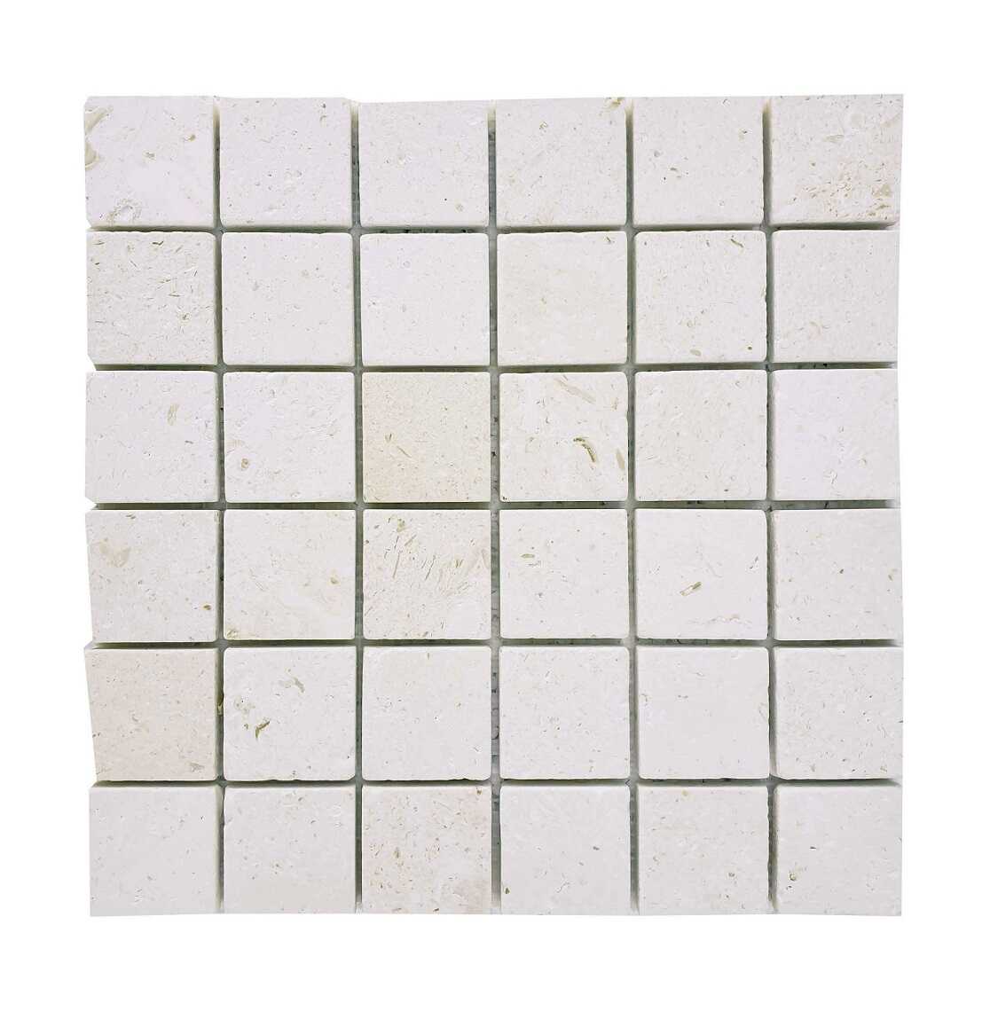 2x2-seashell-limestone-tumbles-mosaic-myra